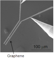 グラフェン FETのSEM写真