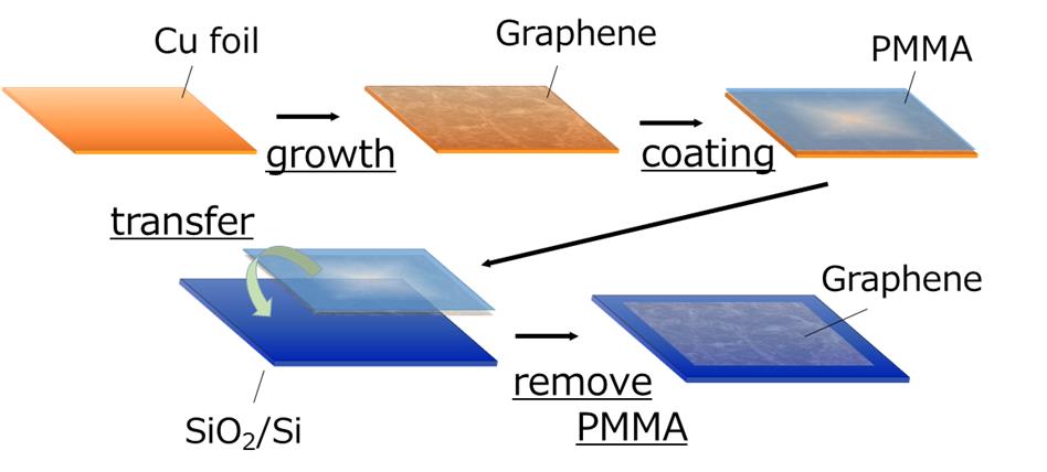 グラフェンの転写